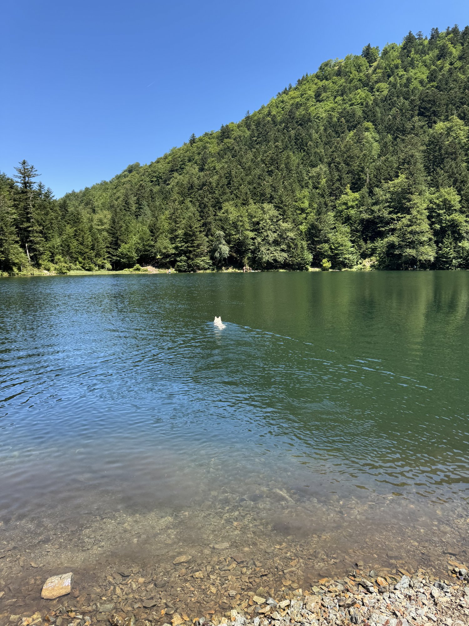 Lago