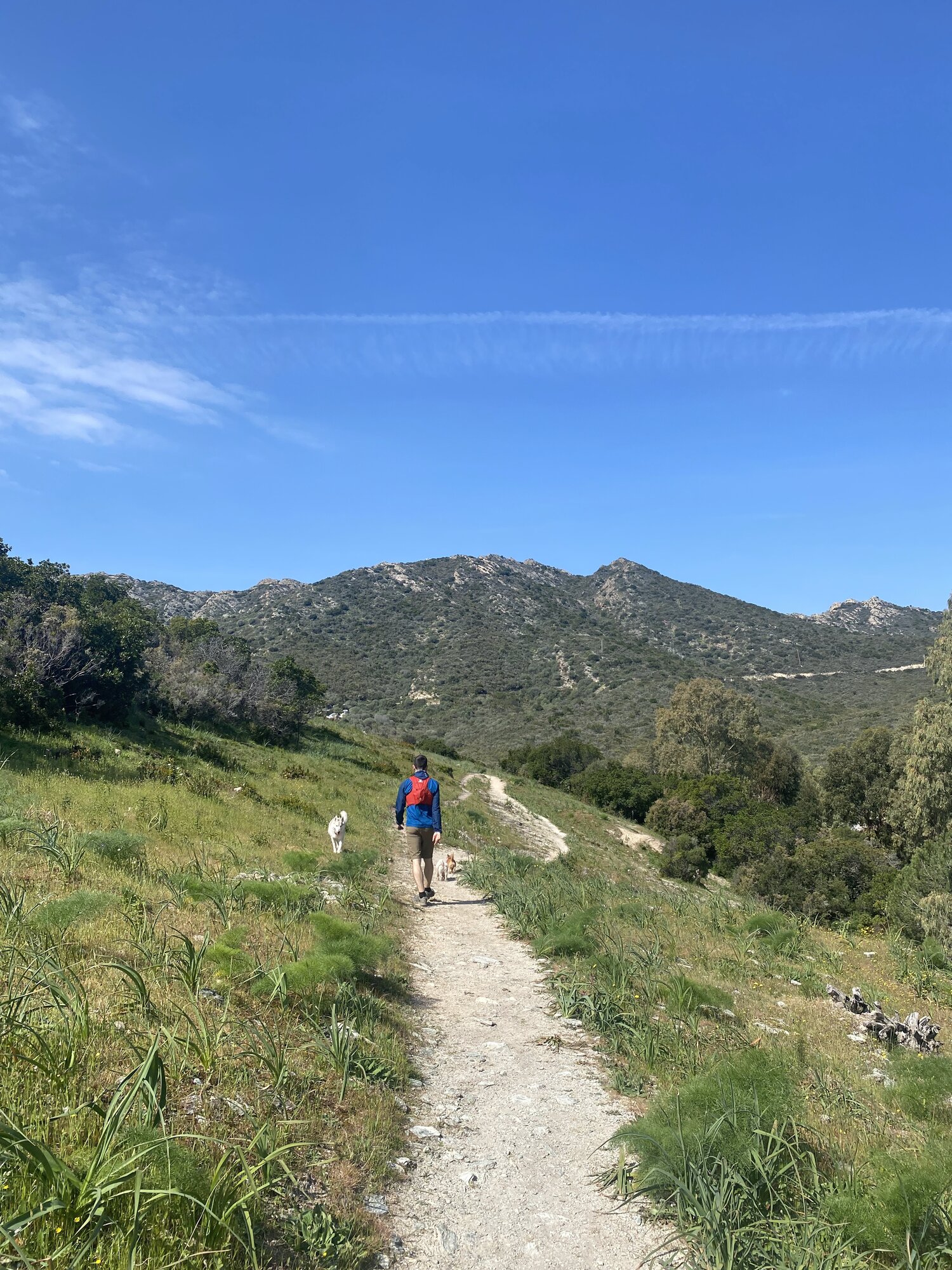 Sendero de montaña