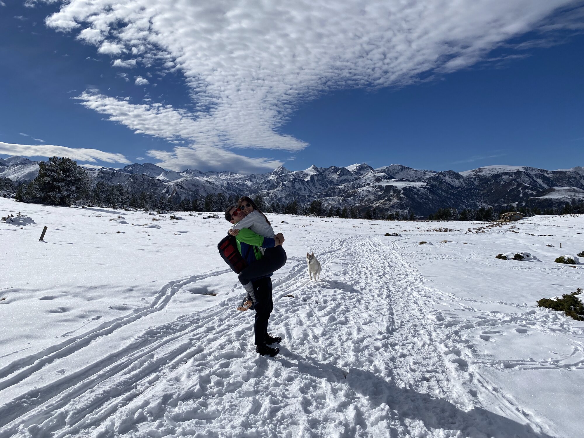 Nieve
